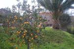 Quinta das Relvinhas - Image 8