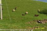 Hole House Bunkhouse - Image 7