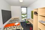 University Hall Auckland - Image 2