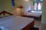 Sigiri Holiday Inn - Image 8