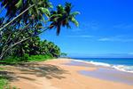 Colombo Airport Hostel @Negombo Beach - Image 1