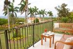 Paradise Birds Eye View
