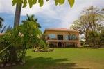 Paradise Birds Eye View - Image 5