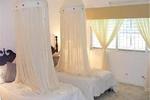Paradise Wynfield - Image 3
