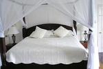 Paradise Wynfield - Image 6