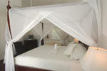 Paradise Wynfield - Image 9
