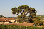 Tenuta Fagnanetto - Image 1