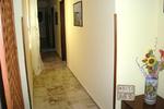 B&B Pepito - Image 7