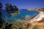 B&B Pepito - Image 9