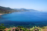B&B Pepito - Image 10