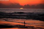 Surf Globe School - Image 4