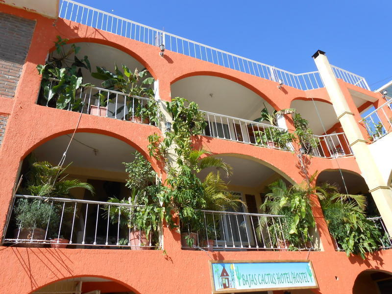 Bajas Cactus Hotel & Hostel  0