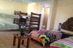 Bajas Cactus Hotel & Hostel - Image 4