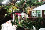 Skyline Boutique Hotel - Image 3