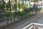 Hotel Dollari - Image 7