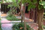 Bananas Dormitory Haad Rin - Image 7