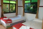 Bananas Dormitory Haad Rin - Image 8