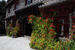 Daocheng Drolma's Guesthouse - Image 8