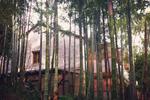 Howoo Life Resort - Image 3