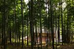 Howoo Life Resort - Image 9