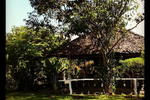 Thale Mhog Bungalow - Image 8