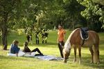 Herdade da Matinha Country House & Restaurant - Image 8