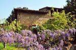 La Casa sulla Collina d'Oro - Image 1