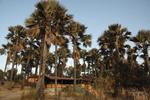 Nemasu Eco-Lodge Gunjur - Image 2