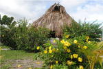 Ensueno's Del Mar Bed and Breakfast - Image 6