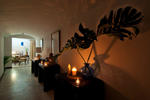 Mynt Retreat - Image 4