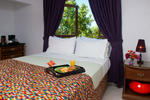Mynt Retreat - Image 7