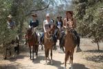 Rancho Santana Horseback Riding - Image 2