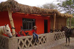 Rancho Santana Horseback Riding - Image 6