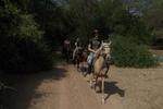 Rancho Santana Horseback Riding - Image 7