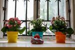 Backpacker Ecohostel - Image 8