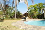 Cheetah Inn Hoedspruit - Image 7