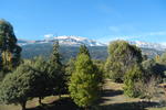 El Pueblito Hostel - Image 4