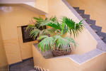 Guardian Guest House - Image 8