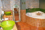 Cal Ganso - Image 9