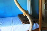 Groundnut Dulan Backpacker Hostel - Image 3