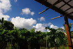 Groundnut Dulan Backpacker Hostel - Image 9