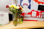 YHA London Earls Court - Image 4