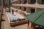Blue sea San Anton Hotel and Apartments - Image 7