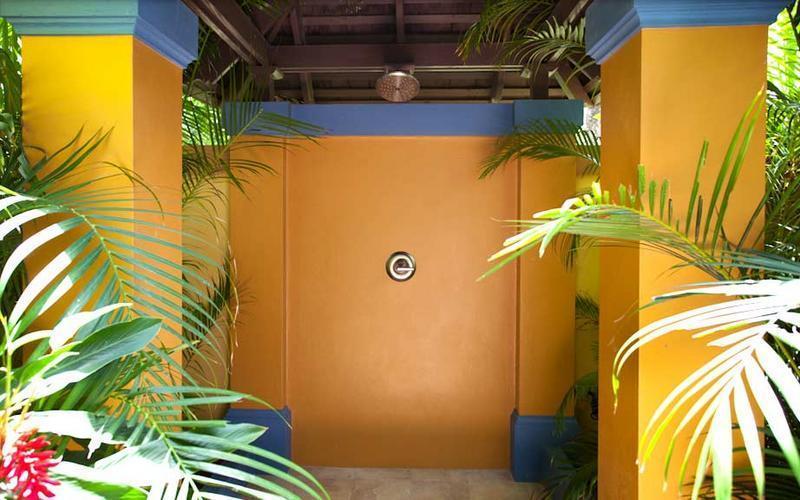 Paradise Coconut Suite  3
