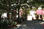 La Villa Les Pins - Image 7