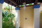 Paradise Breadfruit Suite - Image 6