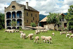 Casa Arana