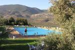 Kibbutz Moran Country Lodging - Image 9
