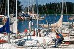 Stf Vandrarhem Utö - Image 10