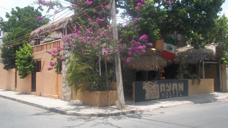 Mayan Hostel 1  0